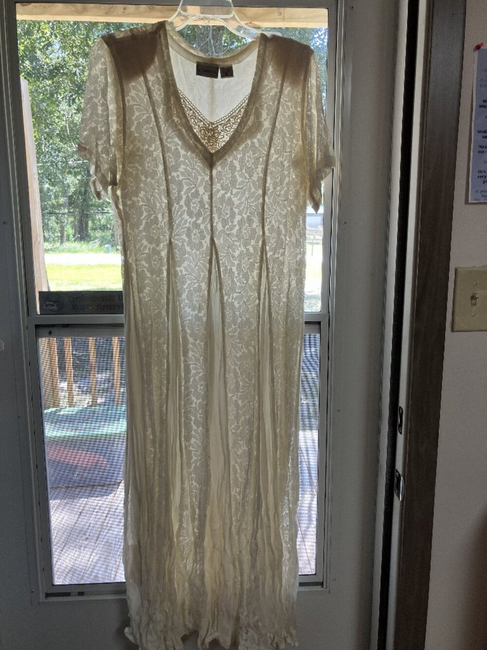 Woman's Lace Dress